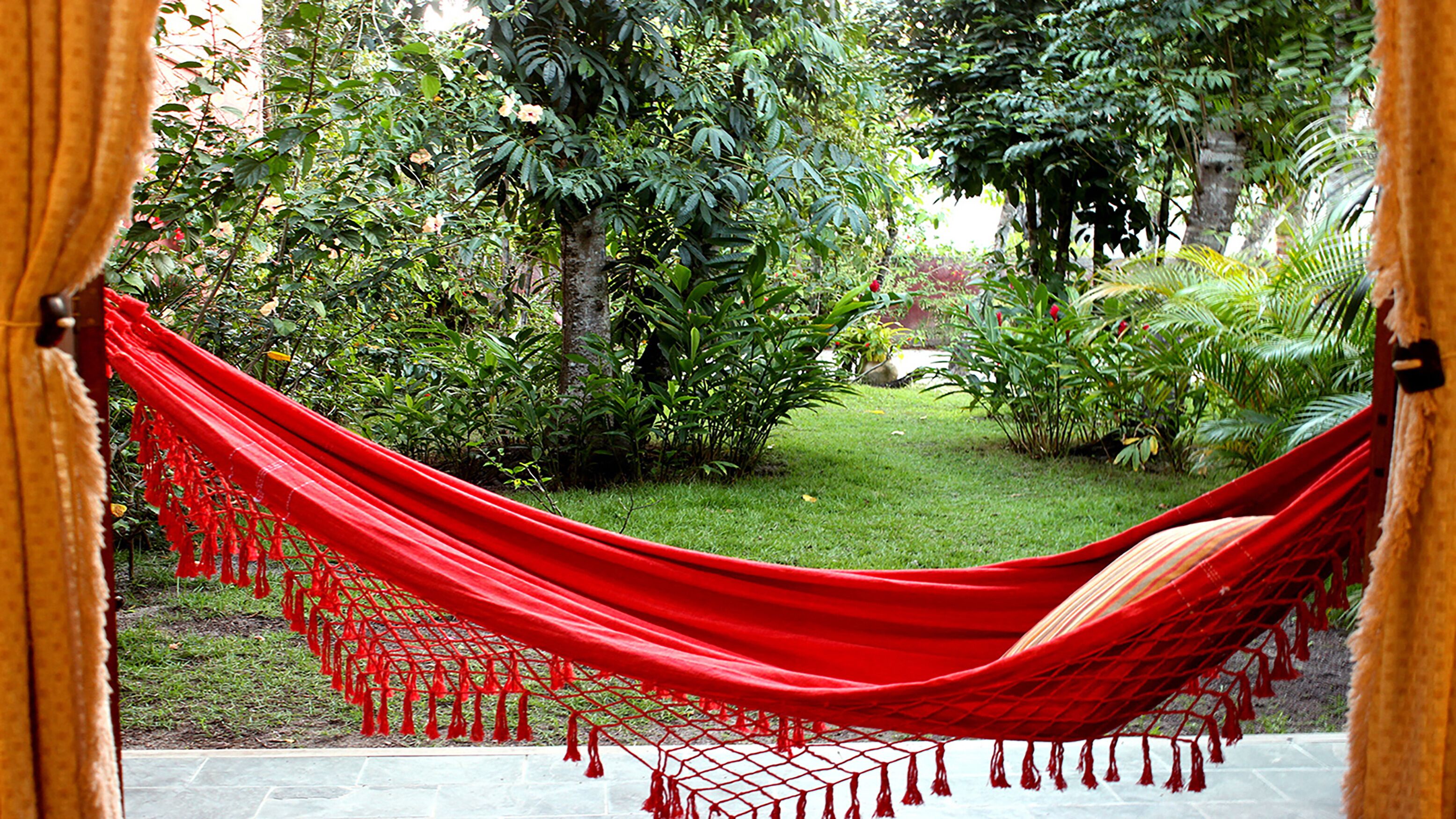 Una hamaca en un jardín exuberante con follaje denso y una vista despejada del entorno verde.