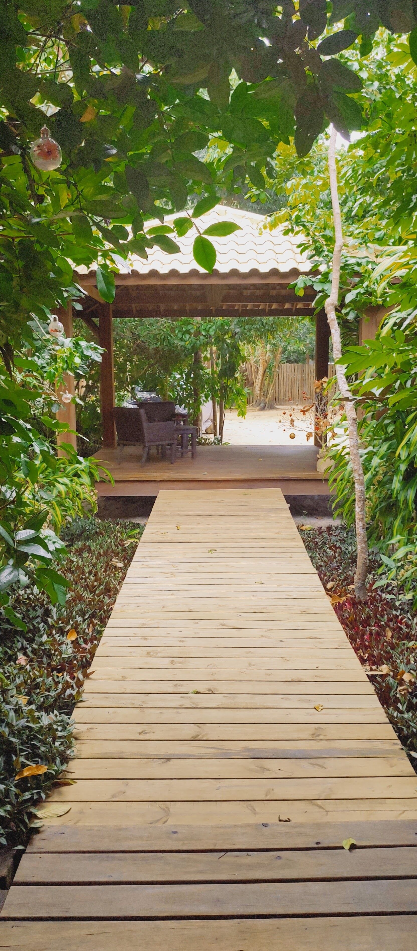 Un camí de fusta que condueix a una zona d'estar exterior coberta, amb una pérgola, envoltada de vegetació exuberant.