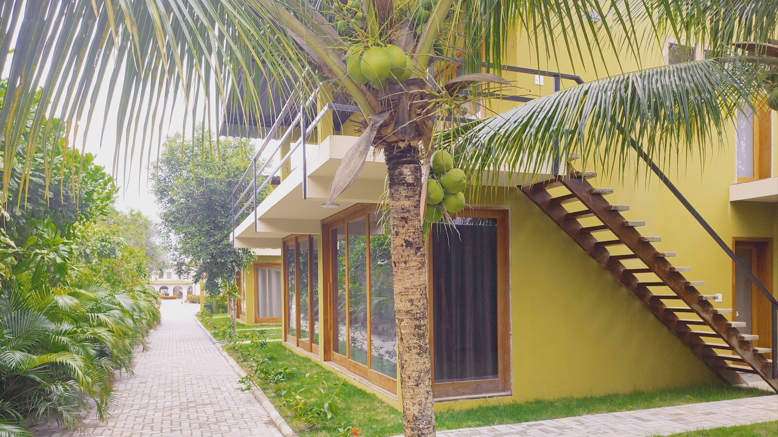 Economy kamer, 1 twee- of 2 eenpersoonsbedden, 1 slaapkamer | Terras