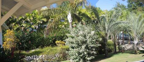 Área da propriedade