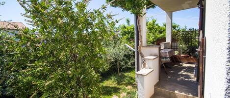 テラス / パティオ