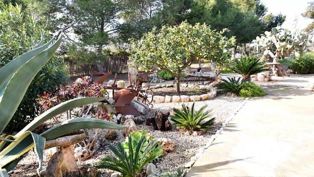 A garden with various plants and a rustic wooden structure. - Hort de Sa Barrala, a small finca near Ses Covetes - Es Trenc beach (Ses Salines)