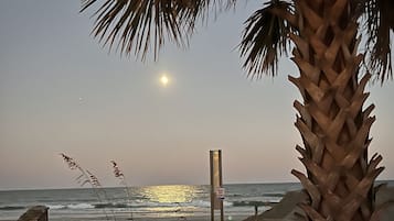 在海滩、沙滩椅
