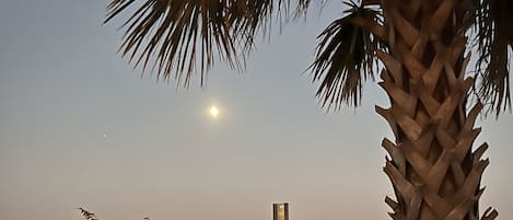 在海滩、沙滩椅