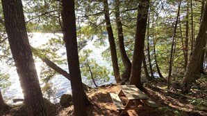 A picnic table in a forested area near a body of water. - New Waterfront Lake House - completed 2021 (Belgrade)