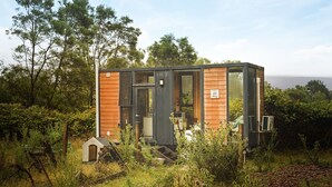 Una cabaña moderna y compacta, con fachada de madera y grandes ventanales, rodeada de abundante vegetación.