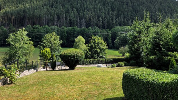 A mountainous landscape with a clear sky, a well-maintained lawn, and a variety of trees. - Quiet location, beautiful view, garden, charging station, table football, darts (Mellenbach Glasbach)