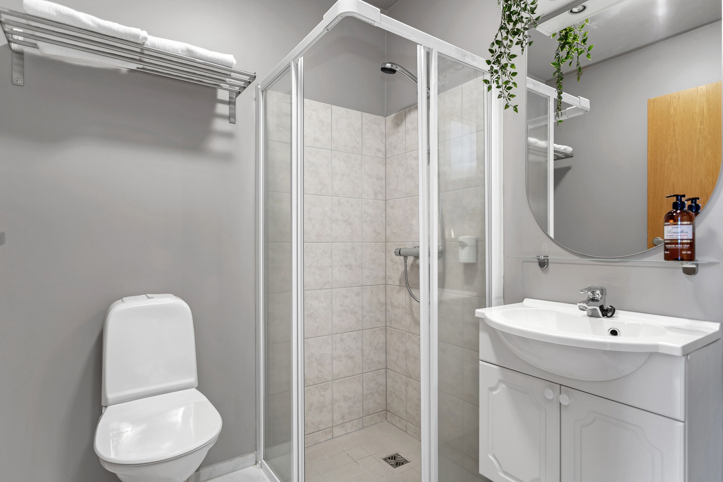 shower, free toiletries, hair dryer, towels