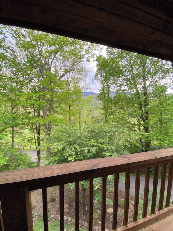 A wooden deck with a view of a forested area and a road. - Bearadise Mtn Cabin~Hot Tub+Fire Pit, Grill & WiFi (Burnsville)