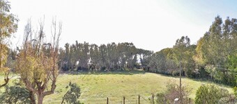 Apartment in Capaccio ID 3887