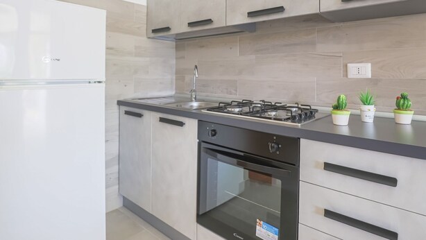Een moderne keuken met een ingebouwd gasfornuis, oven en vaatwasser. Op het aanrecht staan drie potplanten.