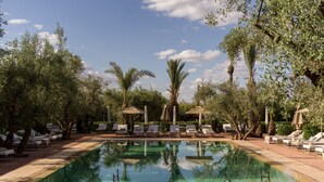 A pool area with lounge chairs and umbrellas, surrounded by trees and greenery. - Casa Abracadabra (Marrakech)
