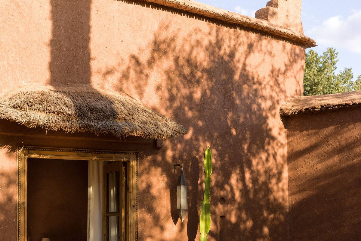 A traditional building with a thatched roof, a cactus, and two sun loungers.