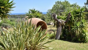 En have med yucca-planter, en stor terracotta-potte og en træstamme.