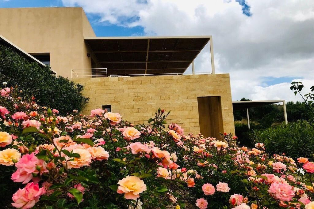 المنطقة المحيطة بالمنشأة