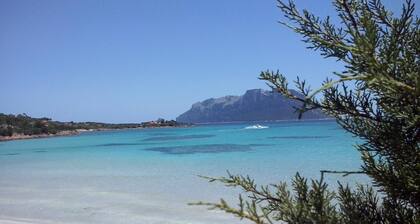 Habitación de huéspedes para 2 personas + 1 niño aprox. 30 qm en Loiri Porto San Paolo, Cerdeña (Gallura)