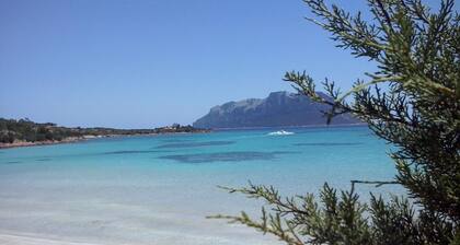 Habitación de huéspedes para 2 personas + 1 niño aprox. 30 qm en Loiri Porto San Paolo, Cerdeña (Gallura)