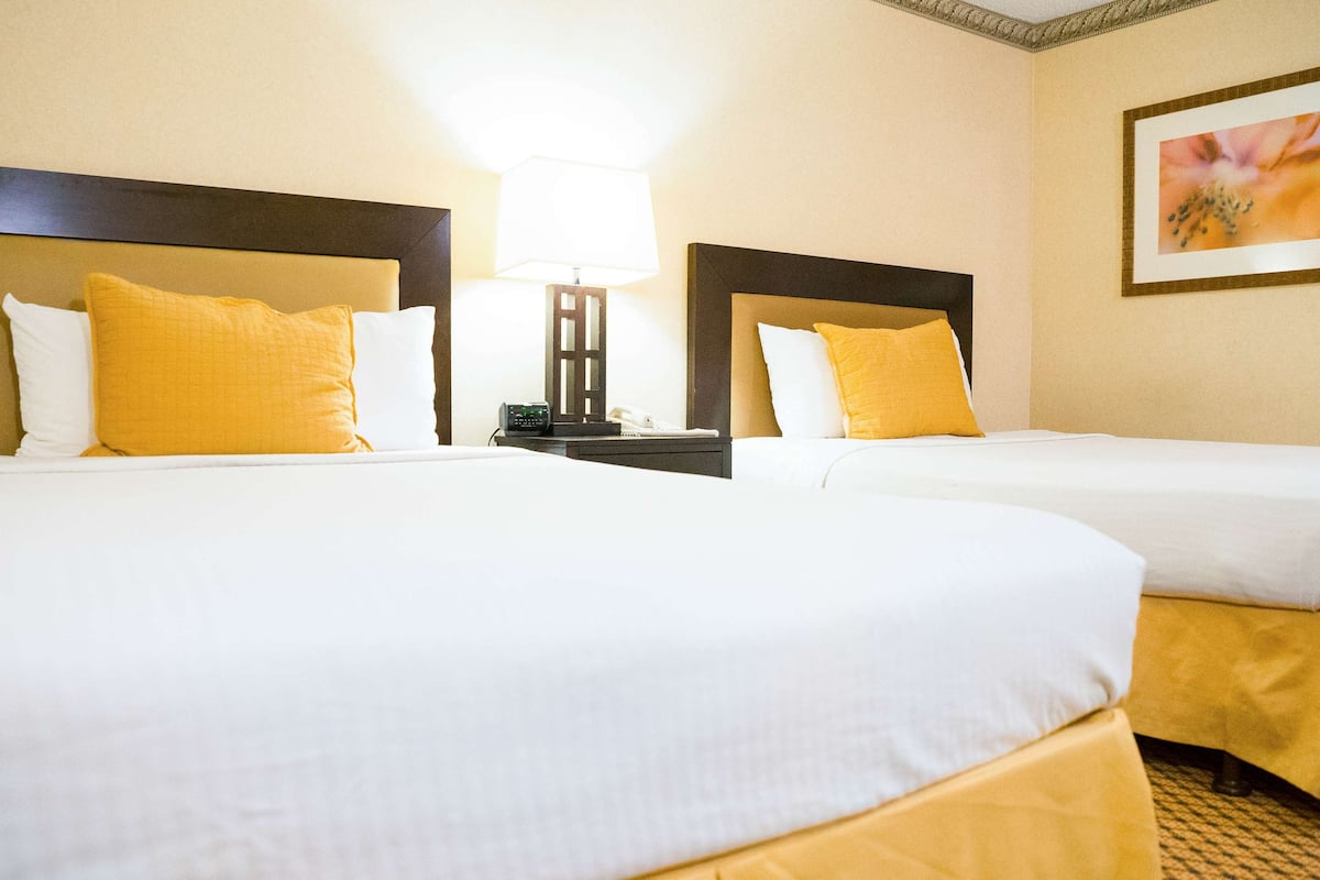 Een bureau, gratis wifi, beddengoed