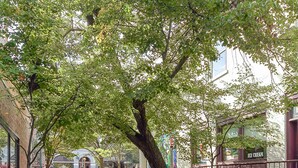Un parque con una fuente, bancos y un sendero bordeado de árboles.