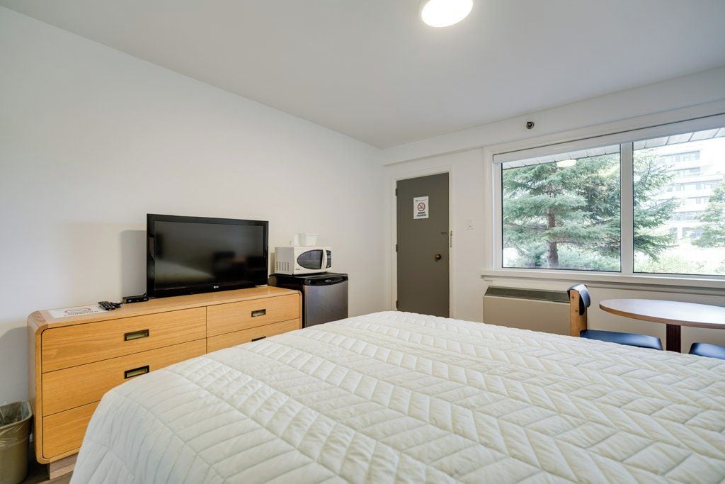 Habitación de hotel con una cama, televisión, microondas, una mesita y ventana con vistas a árboles.