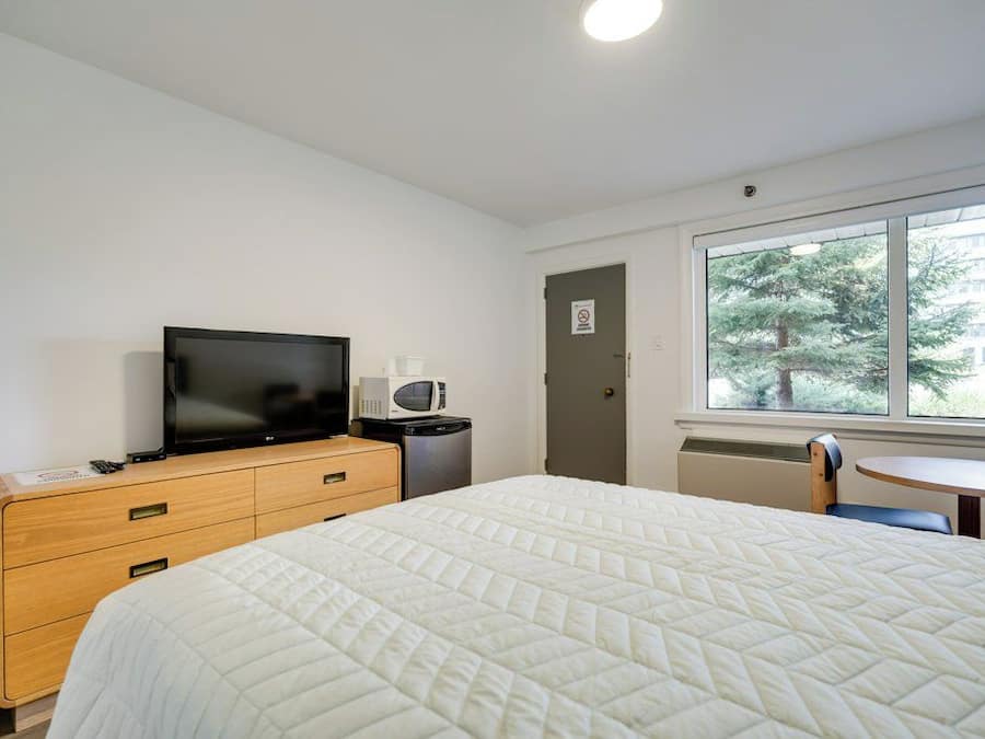 Quarto de hotel com cama, televisão, micro-ondas, mesa pequena e janela com vista para árvores.