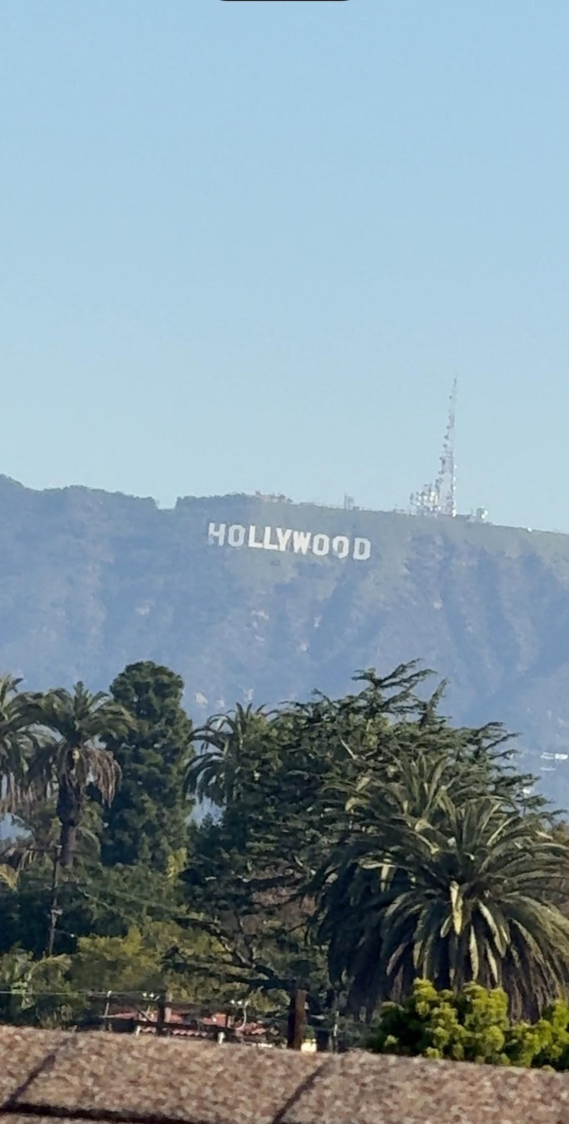 Het Hollywood-bord op een heldere dag.