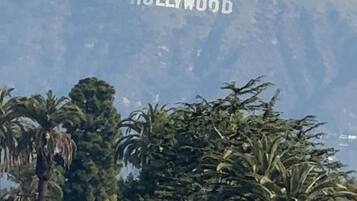 Het Hollywood-bord op een heldere dag.