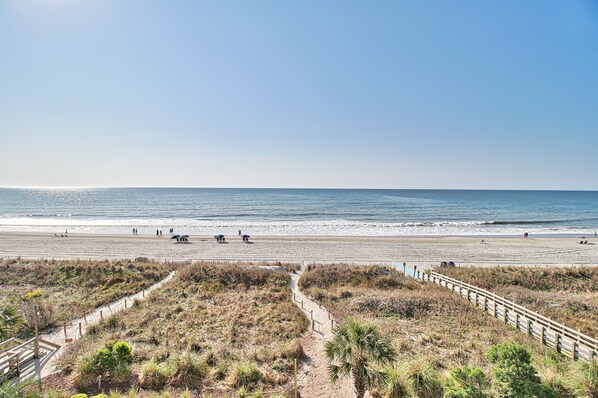 A beach with a wooden boardwalk, sandy beach, and ocean view. - Oceanfront Waterpointe1 505-3b/2b-Sleeps 7-Balcony-WIFI-TV-Pool-Family Friendly (North Myrtle Beach)