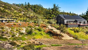 Una casa moderna con techo metálico, rodeada de un jardín ajardinado con un camino de piedra que lleva a la entrada.