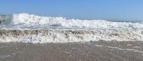 Plage à proximité, chaises longues, serviettes de plage
