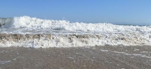 Plage à proximité, chaises longues, serviettes de plage