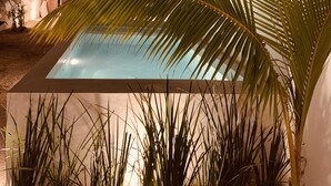 A modern outdoor pool area with a rectangular pool, surrounded by palm trees and tall grasses. - Apartments & Suites MADRE Holbox Self-Check IN (Isla Holbox)