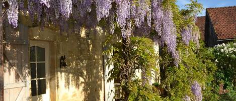 Détail de l’extérieur