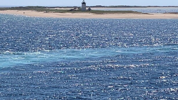 Escena costera con un faro en una playa arenosa, mar en calma y cielo despejado.