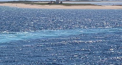 Provincetown cottage: outdoor shower,parking,two decks, pool, steps to beach.