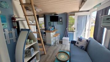 Smart TV, fireplace, DVD player, books