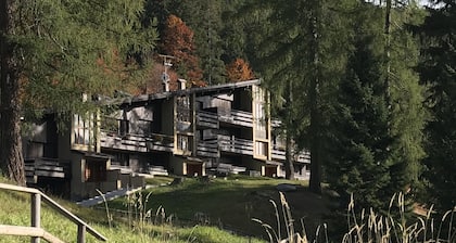 HOFER APARTMENT MhD