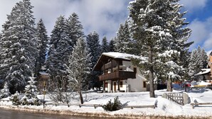 Eine schneebedeckte Holzhütte, umgeben von hoch aufragenden Nadelbäumen.
