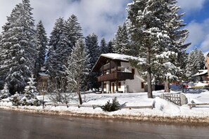 Exterior - Villa al Campo (Madonna di Campiglio)