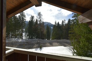 Property grounds - Villa al Campo (Madonna di Campiglio)