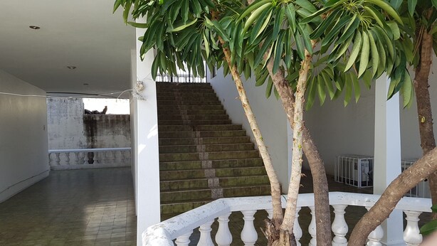 A staircase with white balustrades, a tiled floor, and a tree with green leaves. - Departamento Zona Dorada Mazatlán 6 (Mazatlán)
