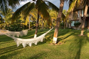 Jardines del alojamiento