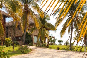 Property grounds - House Kunda'vi (Puerto Escondido)