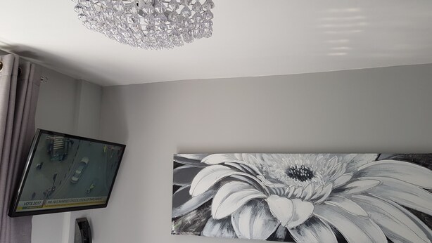Une pièce avec un lustre, un tableau représentant une fleur et un téléviseur diffusant un journal télévisé.