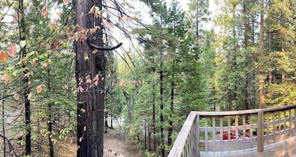 Beautiful Cabin Nestled in Trees (Dogs welcome)