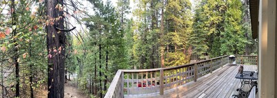 Beautiful Cabin Nestled in Trees (Dogs welcome)