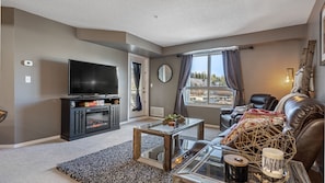 电视、壁炉、办公室