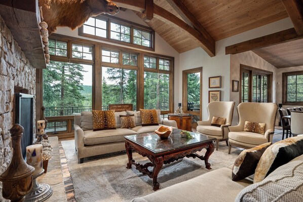 Smart TV, fireplace, video games, books