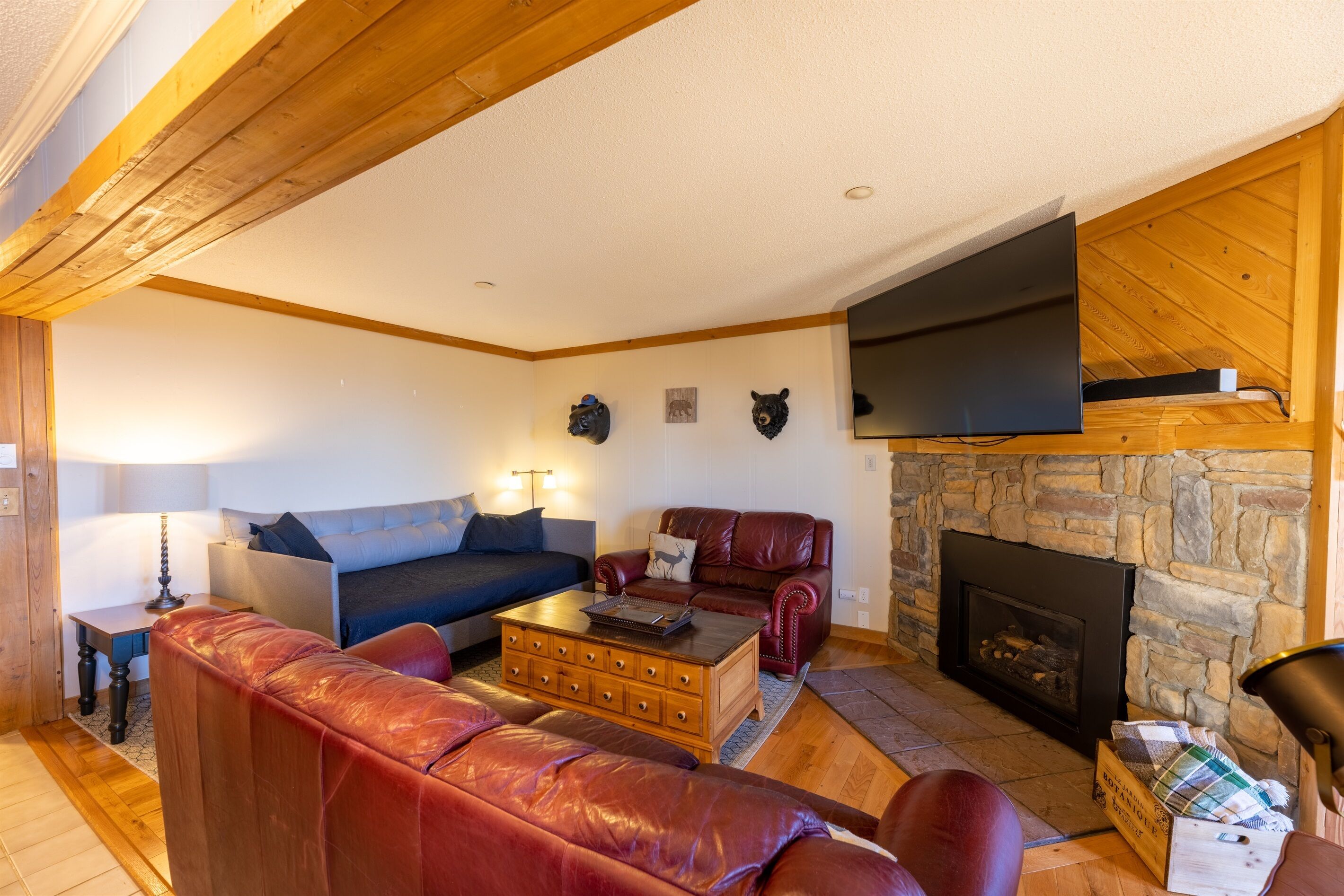 Smart TV, chimenea y reproductor de DVD 