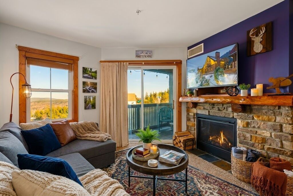 TV connectée, cheminée, lecteur de DVD